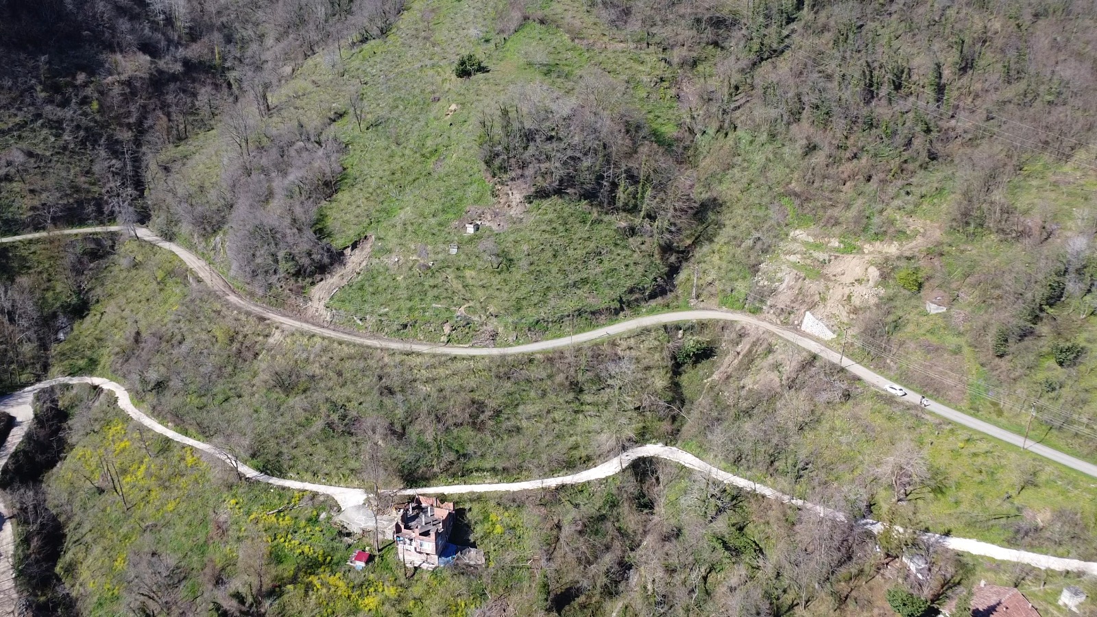 BOLATLI 4200 METREKARE FINDIK BAHÇESİ